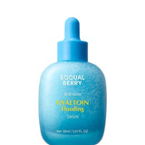 EQQUALBERRY hyaltoin flooding serum