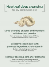 ANUA HEARTLEAFQUERCETINOL PORE DEEP CLEANSING FOAM ( heartleaf+ BHA )(25 ml)